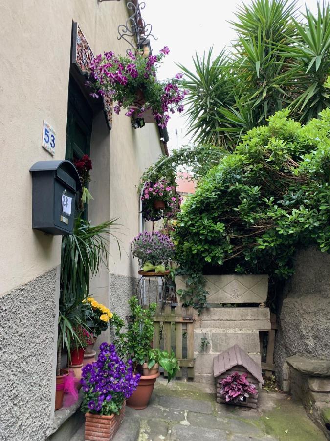 B&B L'Orologio Signa Buitenkant foto