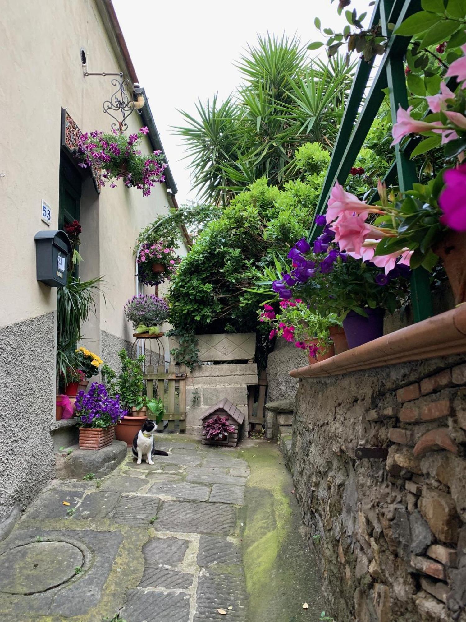 B&B L'Orologio Signa Buitenkant foto